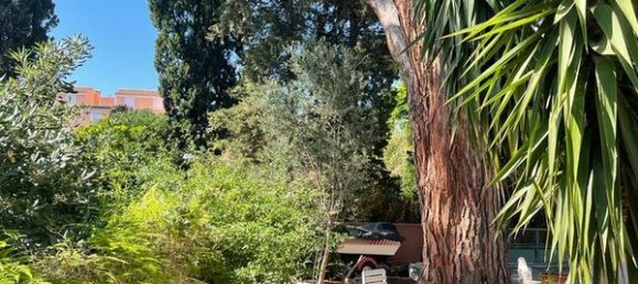 1 Schlafzimmer Haus in Cavalaire-sur-Mer, France, Nr. 298464 3