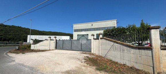  مستودع في Castelliri, Italy 725متر مربع رقم 270373 8