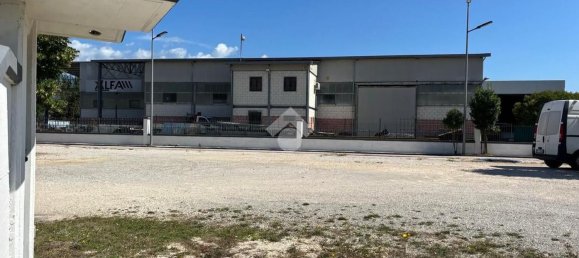  مستودع في Castelliri, Italy 725متر مربع رقم 270373 16