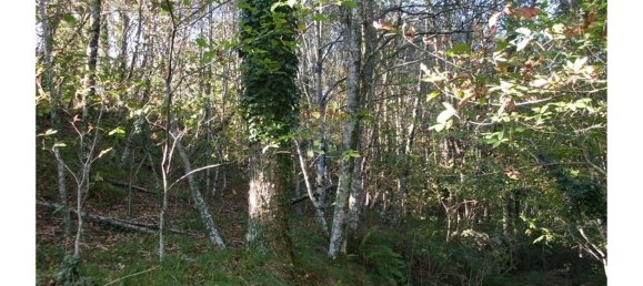 11100m² Land in Fafe, Portugal No. 33746 2