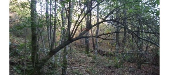 11100m² Land in Fafe, Portugal No. 33746 3