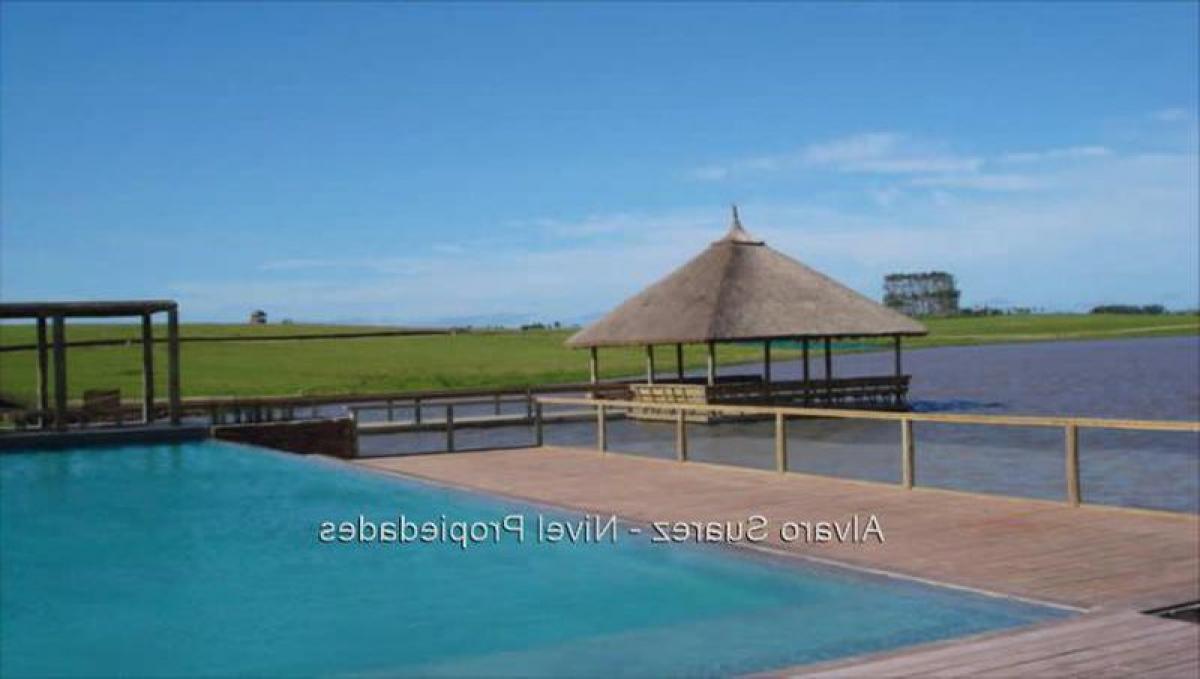  قطعة أرض في Maldonado, Uruguay رقم 14560