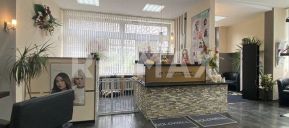 96m² Commercial property in Baden-Wurttemberg, Germany No. 62810 6