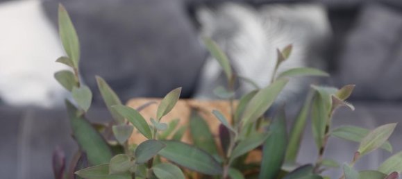 5 Schlafzimmer Villa in Empuriabrava, Spain, Nr. 84537 46