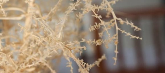 5 Schlafzimmer Villa in Empuriabrava, Spain, Nr. 84537 37