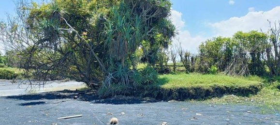 Terrain à Tabanan, Indonesia 2630m² No. 4358 7