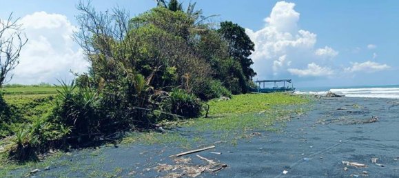 Terrain à Tabanan, Indonesia 2630m² No. 4358 9