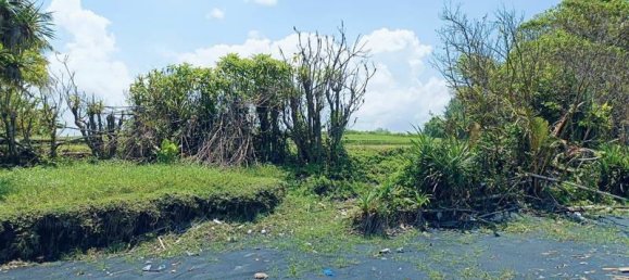 Terrain à Tabanan, Indonesia 2630m² No. 4358 3