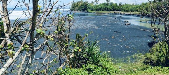 Terrain à Tabanan, Indonesia 2630m² No. 4358 8