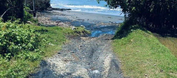 Terrain à Tabanan, Indonesia 2630m² No. 4358 5