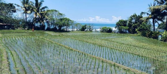 Terrain à Tabanan, Indonesia 2630m² No. 4358 6