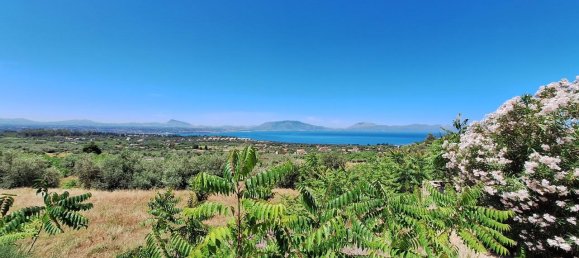 Terrain à Terrasini, Italy 24000m² No. 164402 4