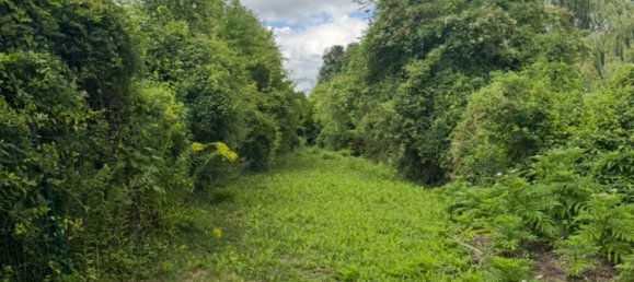 5 bedrooms House in Montmorency, France No. 345998 29