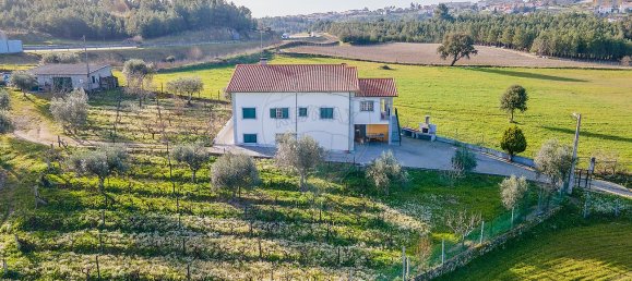4 Schlafzimmer Haus in Celorico da Beira, Portugal, Nr. 36547 3