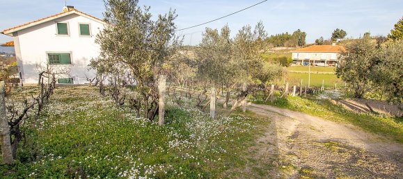 4 Schlafzimmer Haus in Celorico da Beira, Portugal, Nr. 36547 7