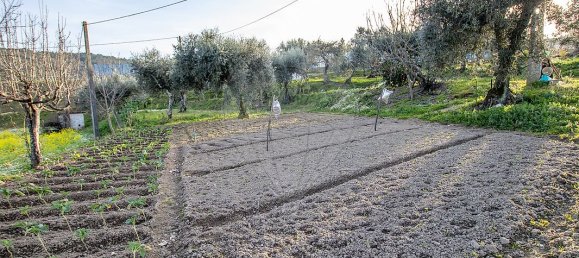 4 Schlafzimmer Haus in Celorico da Beira, Portugal, Nr. 36547 32