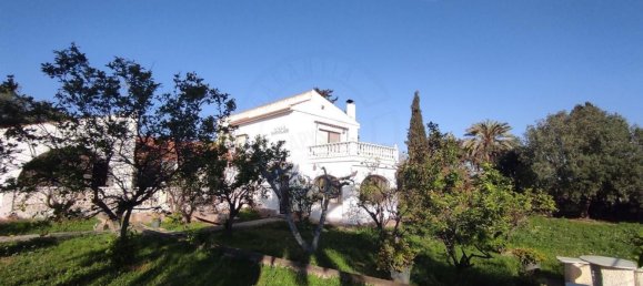 5 bedrooms House in Torrevieja, Spain No. 155424 99