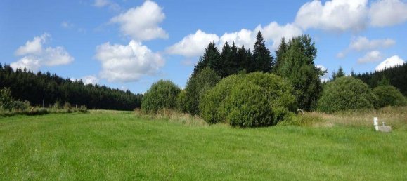 5-salle Maison à Sallingberg, Austria No. 121581 4