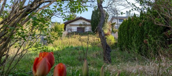 Land in Dobling, Austria No. 134631 2