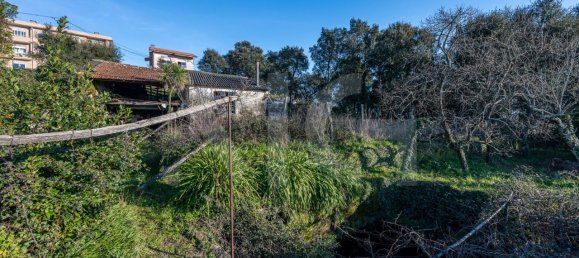 3 Schlafzimmer Haus in Fanzeres, Portugal, Nr. 102953 5