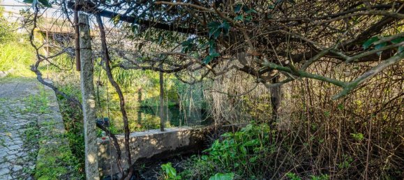 3 Schlafzimmer Haus in Fanzeres, Portugal, Nr. 102953 9