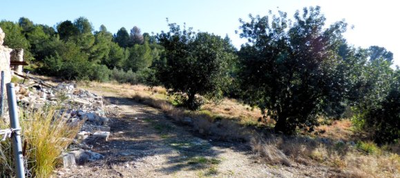Terreno en Beniarbeig, Spain 32678 m² No. 67229 16