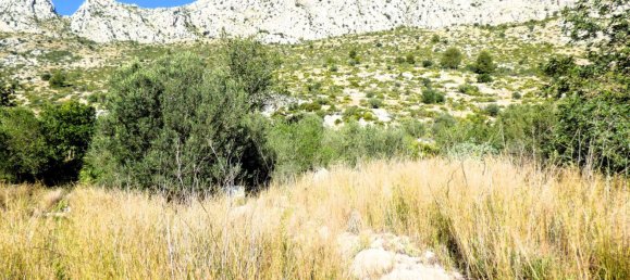 Terreno en Beniarbeig, Spain 32678 m² No. 67229 10