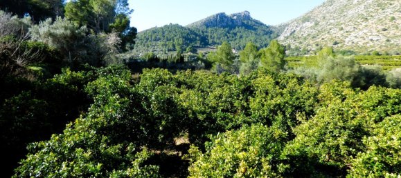 Terreno en Beniarbeig, Spain 32678 m² No. 67229 33