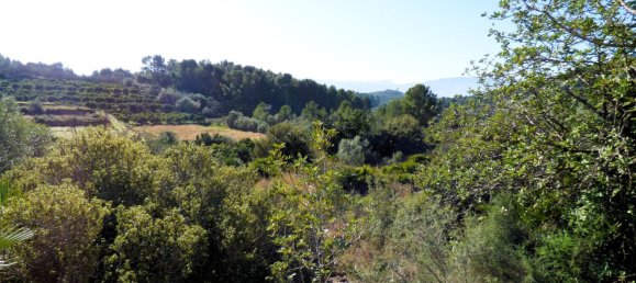 Terreno en Beniarbeig, Spain 32678 m² No. 67229 12