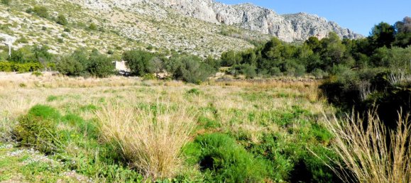 Terreno en Beniarbeig, Spain 32678 m² No. 67229 28