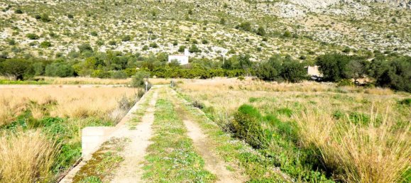 Terreno en Beniarbeig, Spain 32678 m² No. 67229 30