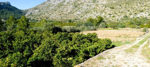 Terreno en Beniarbeig, Spain 32678 m² No. 67229 32