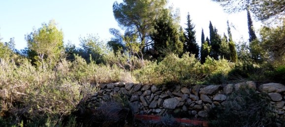 Terreno en Beniarbeig, Spain 32678 m² No. 67229 41
