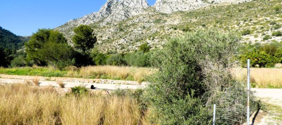 Terreno en Beniarbeig, Spain 32678 m² No. 67229 25