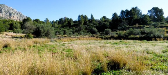 Terreno en Beniarbeig, Spain 32678 m² No. 67229 22