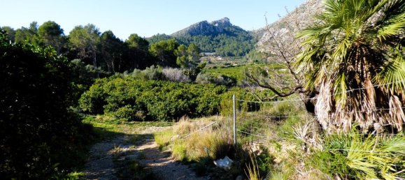 Terreno en Beniarbeig, Spain 32678 m² No. 67229 35