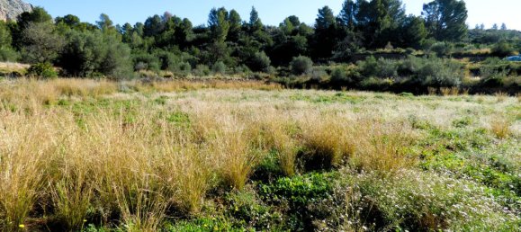 Terreno en Beniarbeig, Spain 32678 m² No. 67229 21