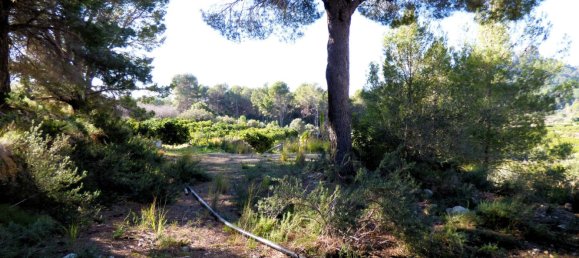 Terreno en Beniarbeig, Spain 32678 m² No. 67229 39