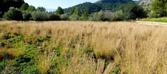 Terreno en Beniarbeig, Spain 32678 m² No. 67229 26