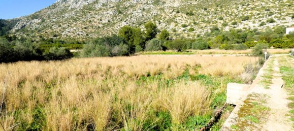 Terreno en Beniarbeig, Spain 32678 m² No. 67229 27