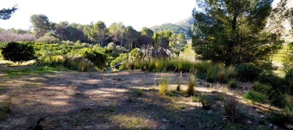 Terreno en Beniarbeig, Spain 32678 m² No. 67229 37