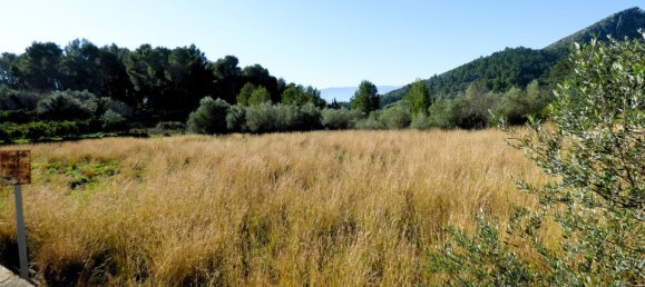 Terreno en Beniarbeig, Spain 32678 m² No. 67229 17