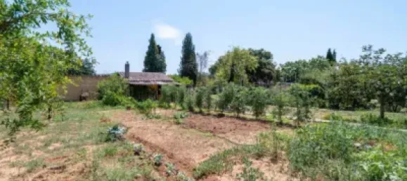  Land in Girona, Spain No. 145344 2