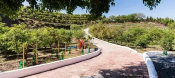 1034m² Land in Velez-Malaga, Spain No. 43076 26