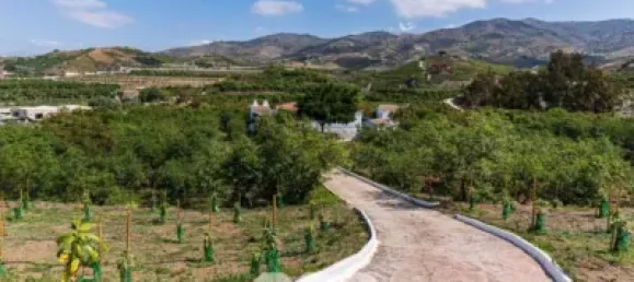 1034m² Land in Velez-Malaga, Spain No. 43076 19