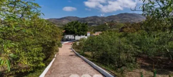 1034m² Land in Velez-Malaga, Spain No. 43076 18