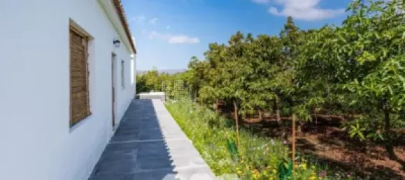 1034m² Land in Velez-Malaga, Spain No. 43076 10