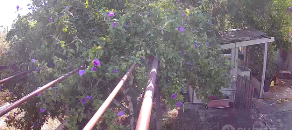 5 rooms Villa in Piedimonte San Germano, Italy No. 281533 5