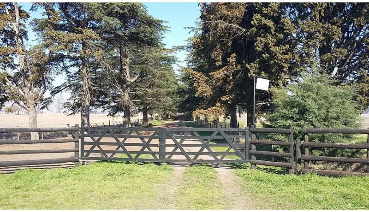 2 bedrooms House in Arrecifes, Argentina No. 6765