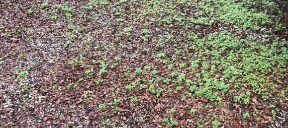 Casa de 3 habitaciónes en Massa, Italy No. 215101 10